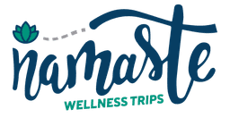 Namaste Wellness Trips